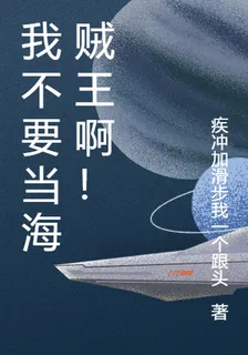我不要當海賊王啊！ 封面