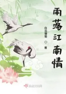 雨落江南情 封面