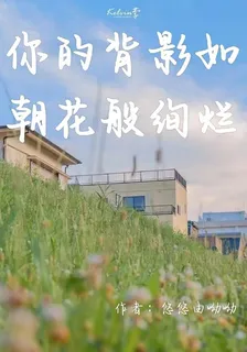 你的背影如朝花般絢爛 封面