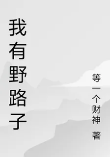 我有野路子 封面