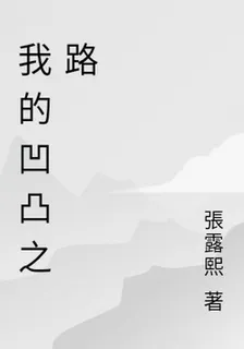 我的凹凸之路 封面