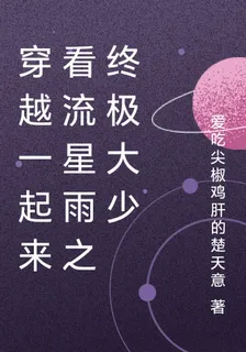 穿越一起來看流星雨之終極大少 封面