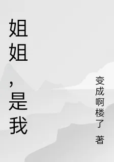 姐姐，是我 封面