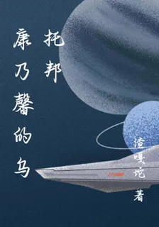康乃馨的烏托邦 封面