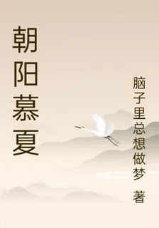 朝陽慕夏 封面