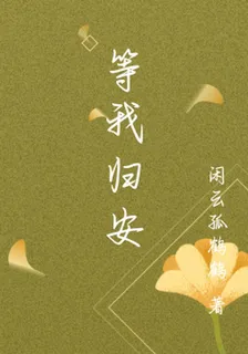 等我歸安 封面