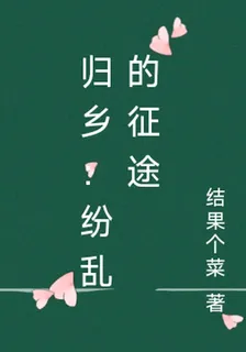 歸鄉：紛亂的征途 封面