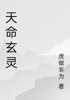 天命玄靈 封面