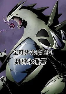 寶可夢：沙暴王者 封面