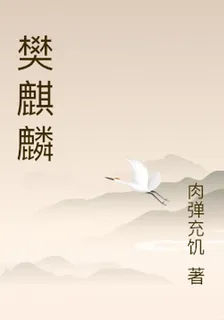 樊麒麟 封面