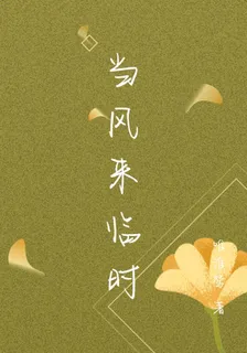 當風來臨時 封面