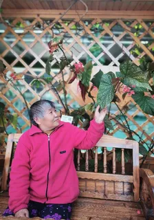 丹青引半生緣兩世情 封面