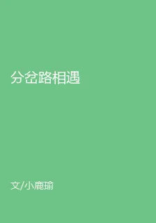 分岔路相遇 封面