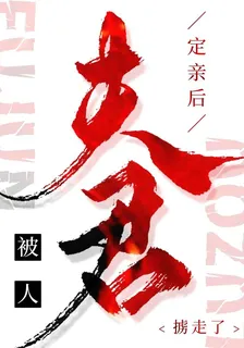 定親後，夫君被人擄走了 封面