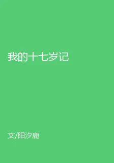 我的十七歲記 封面