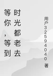 等你，等到時光都老去 封面