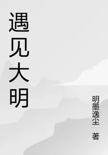 遇見大明 封面