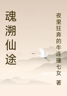 魂溯仙途 封面