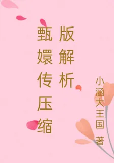 甄嬛傳壓縮版解析 封面