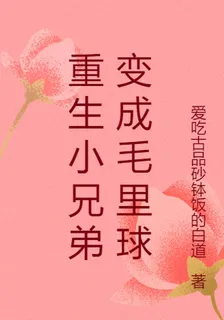 重生小兄弟變成毛裏球 封面