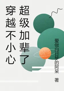 穿越不小心超級加輩了 封面