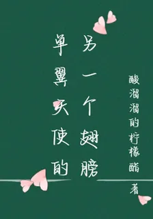 單翼天使的另一個翅膀 封面