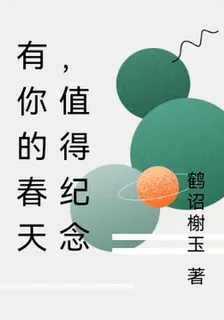 有你的夏天，值得紀念 封面
