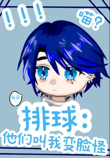 排球：他們叫我變臉怪 封面