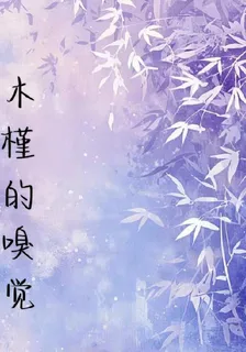 木槿的嗅覺 封面