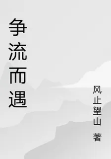 爭流而遇 封面