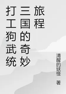 打工仔亂入三國的奇妙旅程 封面