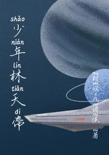 少年林天帝 封面