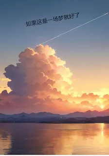如果這是一場夢就好了 封面