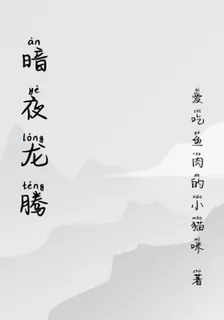 暗夜龍騰 封面