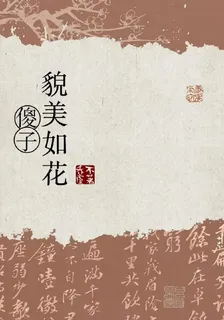 傻子貌美如花 封面