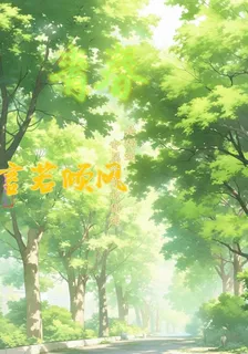 言若傾風 封面