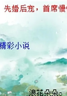 先婚後寵，首席慢慢愛 封面