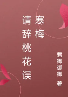 請辭桃花誤寒梅 封面