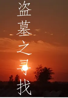 盜墓之尋找 封面