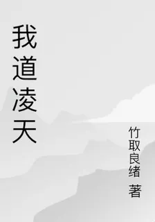 我道凌天 封面