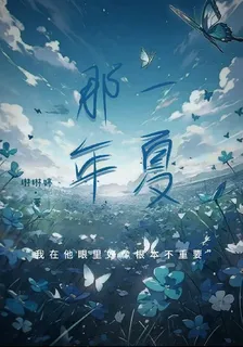 那一年夏雨 封面