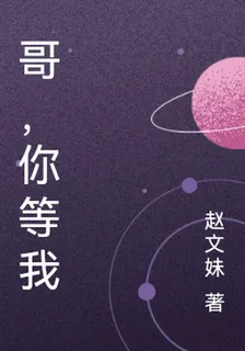 哥，你等我 封面