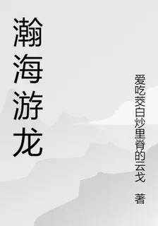 瀚海游龍 封面
