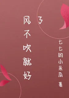 風不吹就好了 封面