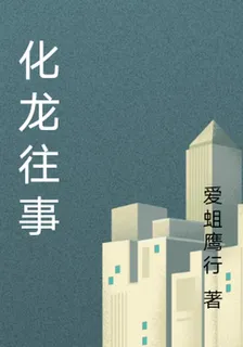 化龍往事 封面