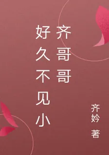 好久不見小齊哥哥 封面