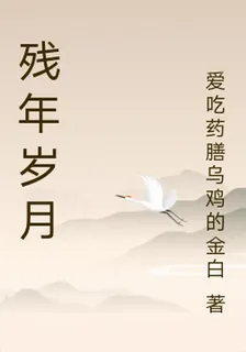 殘年歲月 封面