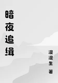 暗夜追緝 封面