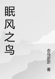 眠風之鳥 封面