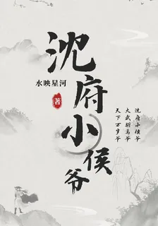 沈府小侯爺 封面
